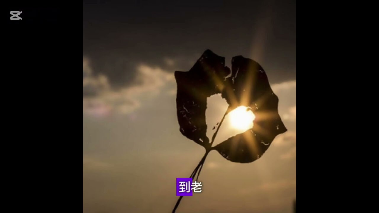 我只想要你知道