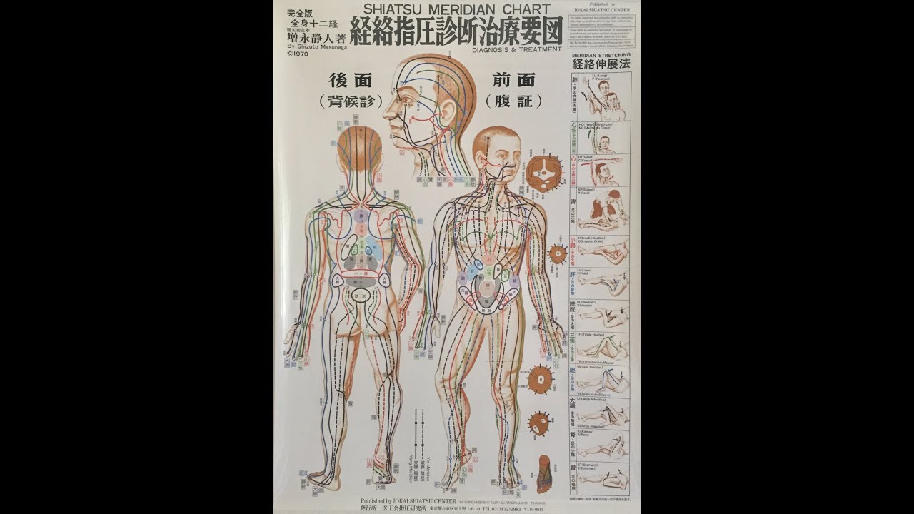 Shiatsu'daki Meridyenler - Genel Anlatım
