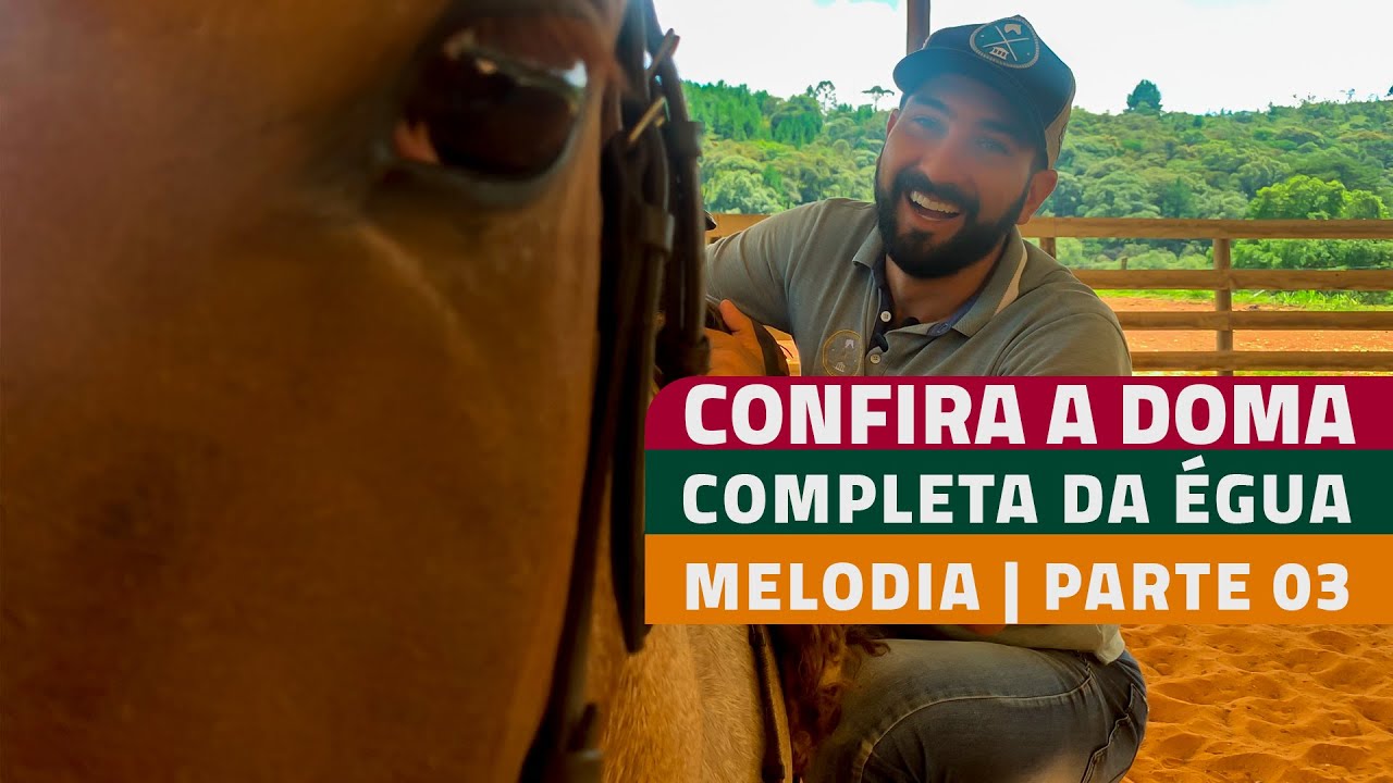 PASSO A PASSO DOMA MELODIA | PARTE 03