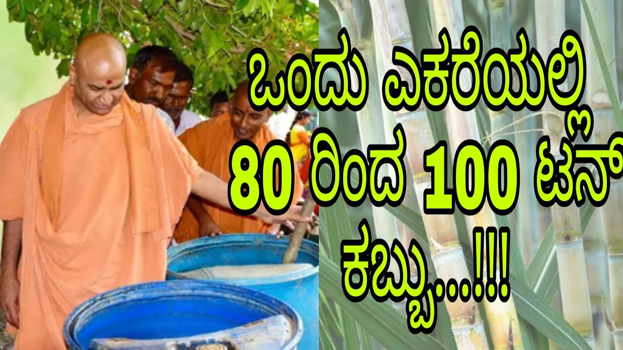 ಒಂದು ಎಕರೆಯಲ್ಲಿ ನೂರು ಬೆಳೆ ಹೇಗೆ ಸಾಧ್ಯ....!! || ಶ್ರೀ ಕಾಡಸಿದ್ಧೇಶ್ವರ ಸ್ವಾಮೀಜಿ || Part - 3 ||