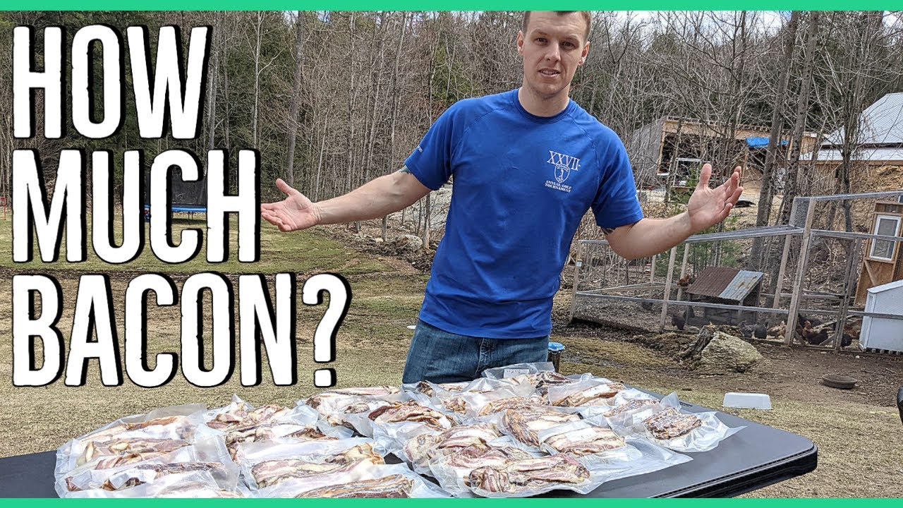 How much Bacon we got from Two Pigs