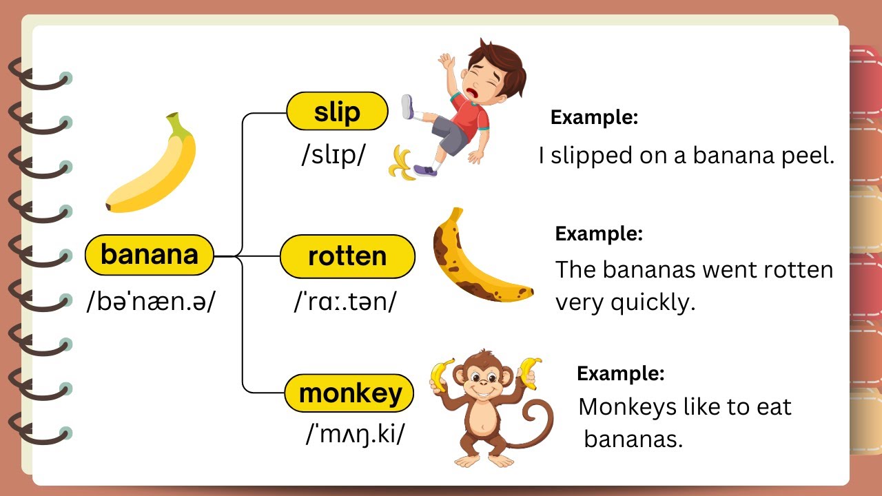 Daily Use English Words With Mind Map