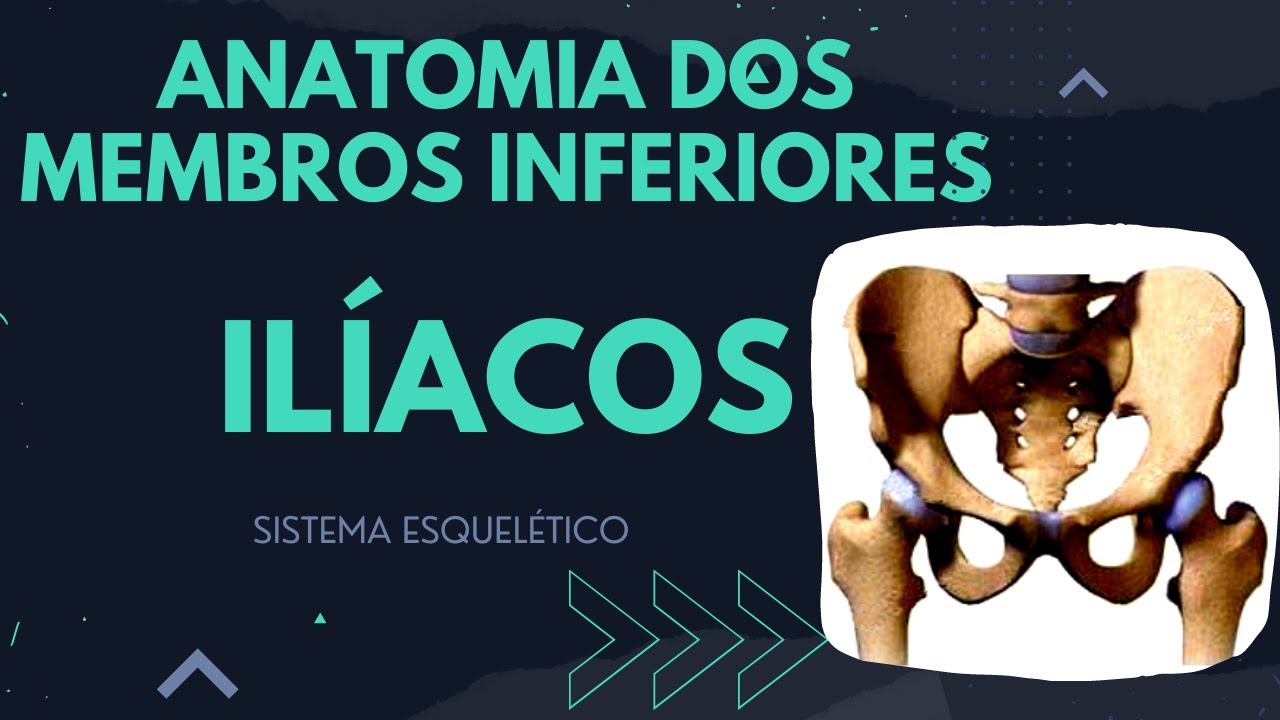 Aula 16 - Anatomia do Ilíaco
