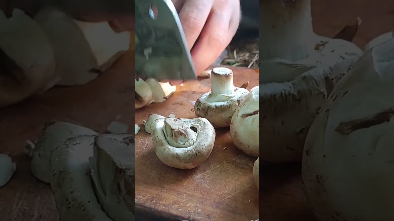 Bushcraft kitchen) #fishing #bushcraft #bushcraftcooking #forest #outdoors #food #outdoorcooking