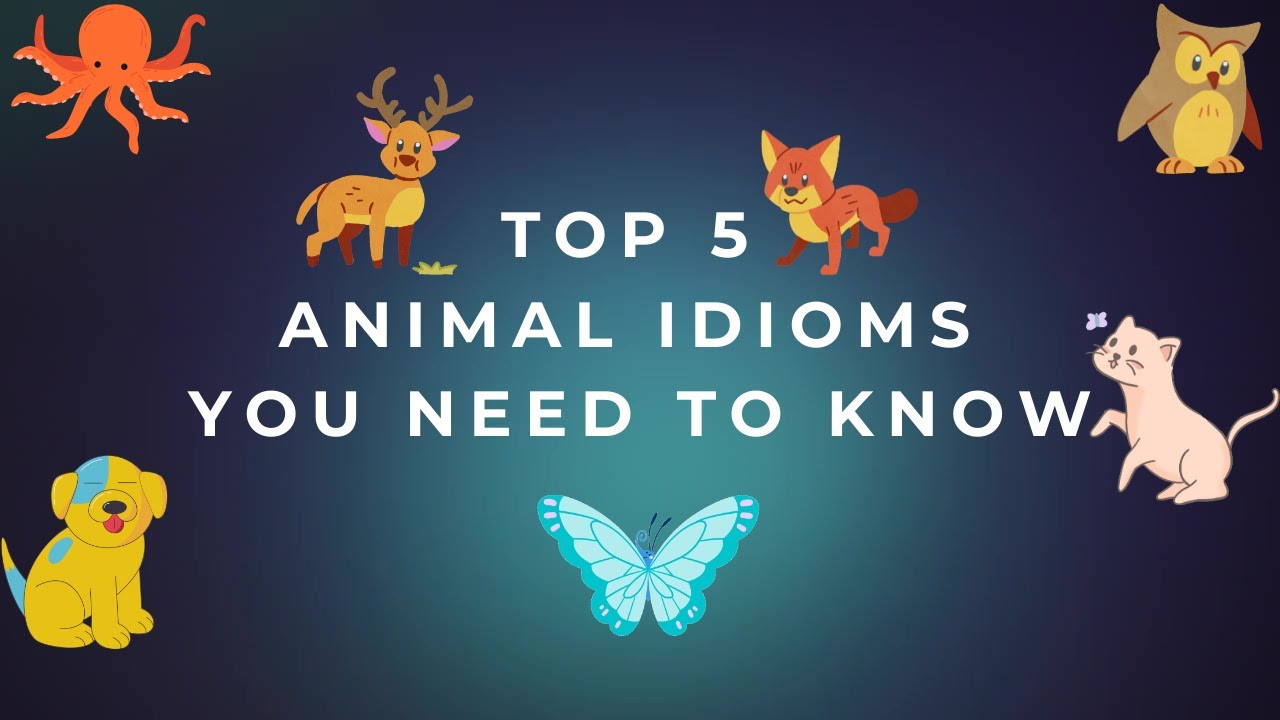 Top 5 Animal Idioms You Need to Know! #english #learning #animals #spokenenglish