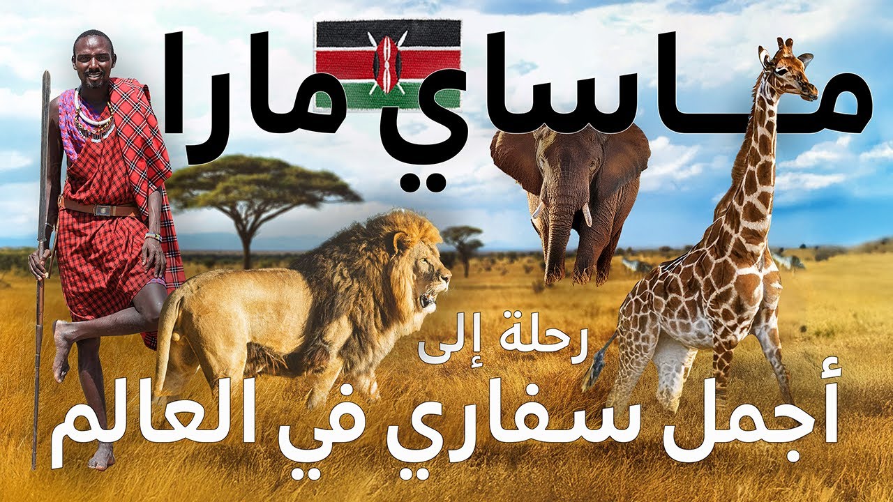 أجمل سفاري في العالم 🇰🇪 ماساي مارا في كينيا | الجزء الثاني في إستكشاف أفريقيا
