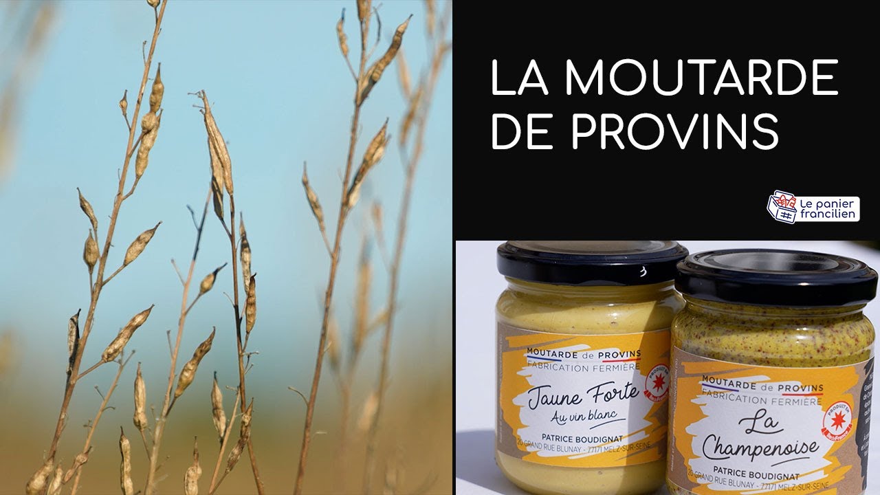 La moutarde de Provins - Panier francilien [ÉPISODE 6]