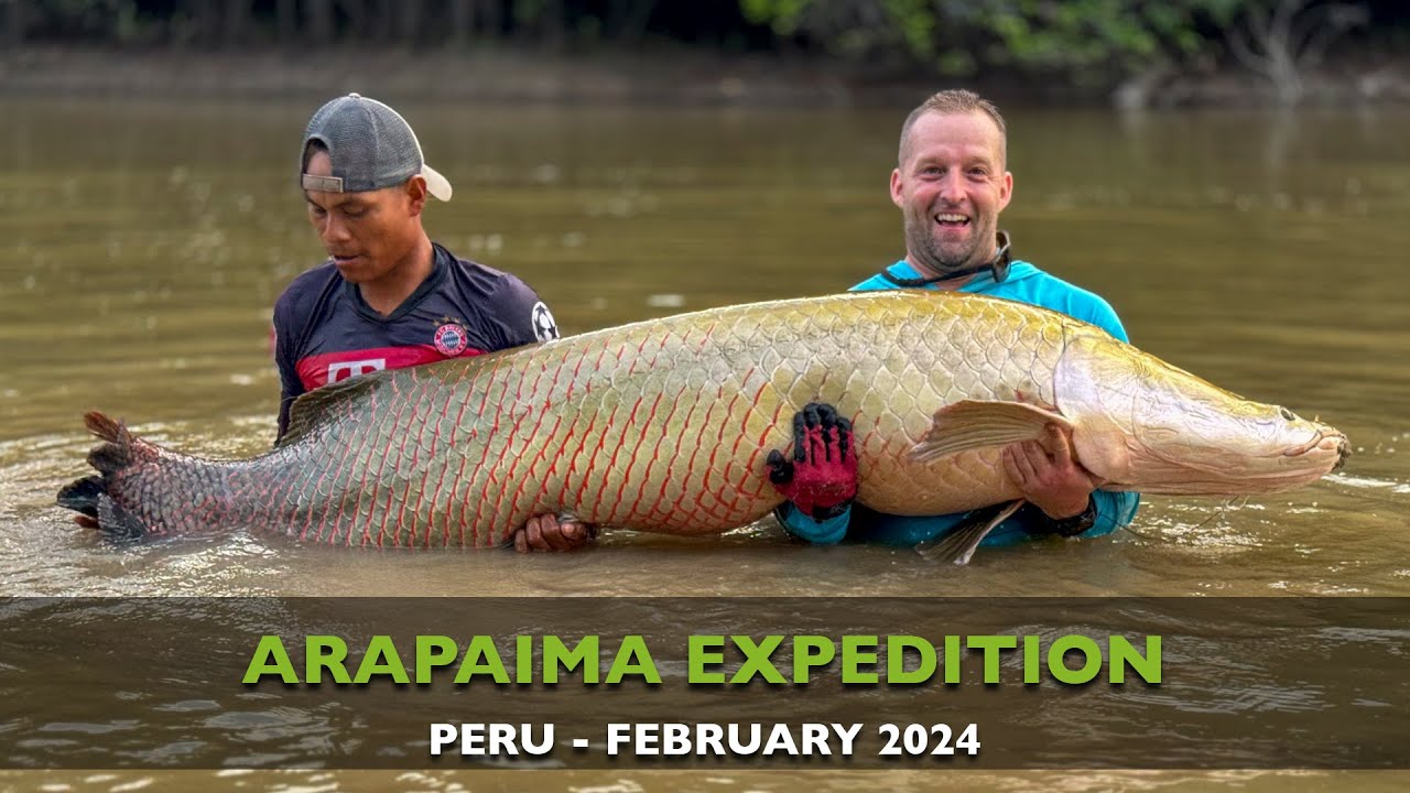 ARAPAIMA EXPEDITION - PERU 2024