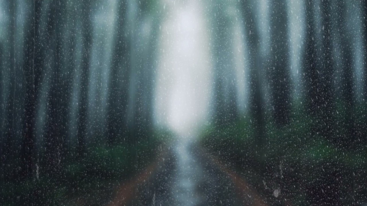 Misty Forest Rain Sounds 🌲 Deep Sleep Natural ASMR, Insomnia Relief & Calming White Noise.