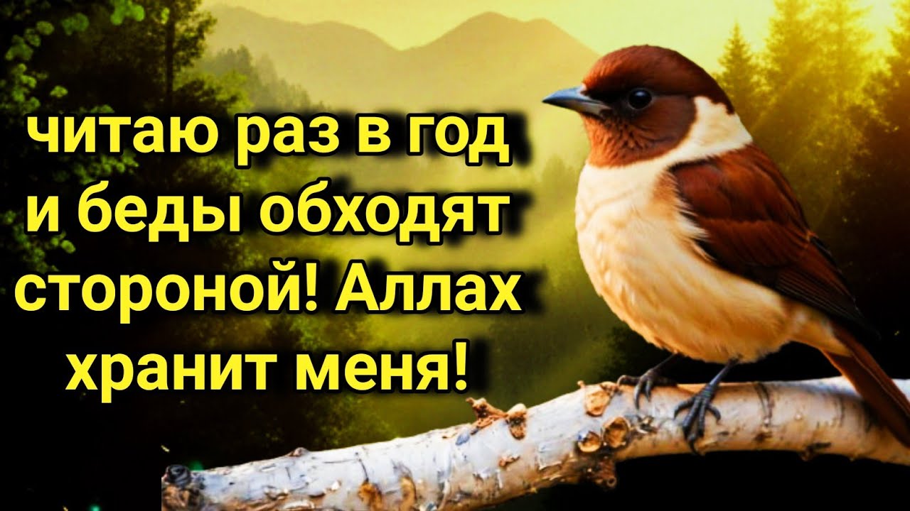 💥💝 Секретная ДУА: читаю раз в год и беды обходят стороной! Аллах хранит меня. 🤲✨💯