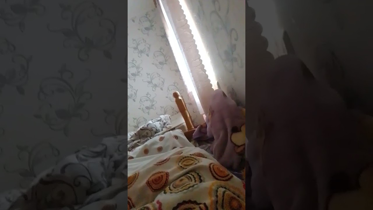 2 серпня 2024 р.