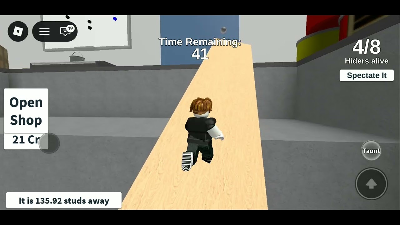 I play Hide and Seek in roblox