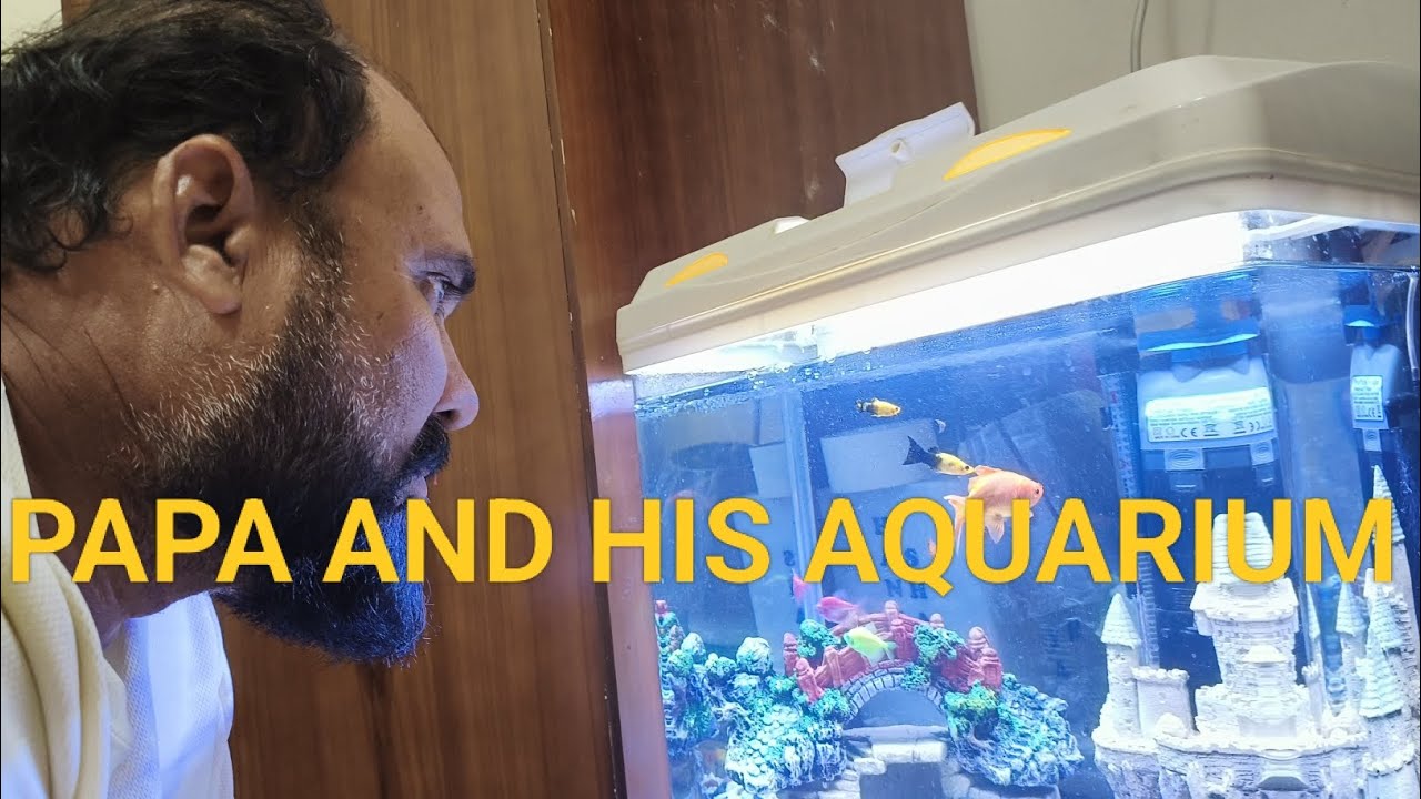 WE BOUGHT FISHES AFTER LONG TIME . Met my dads friend yummy dinner outside 😊