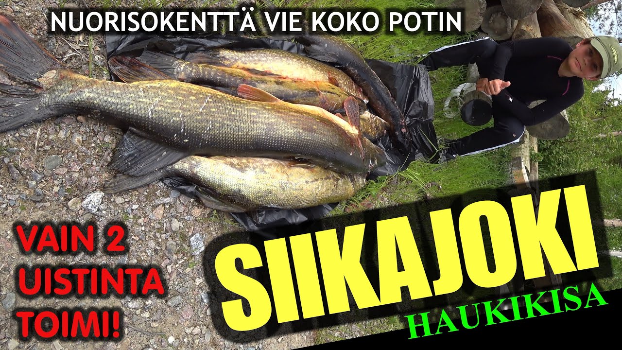 SIIKAJOKI KALASTUS - Haukikisa Samulin ja Arin kanssa ( Oulunseudun Kalapaikat - Pike Fishing )