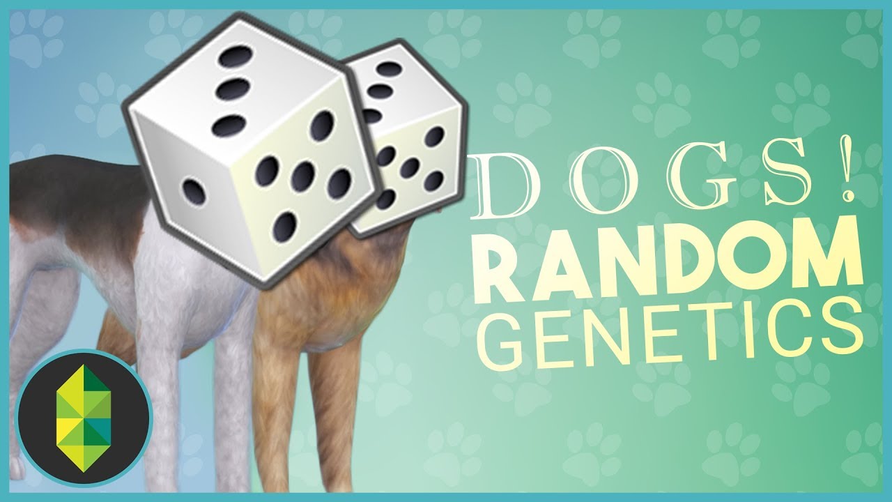 DOGS! Random Genetics CHALLENGE (Sims 4)