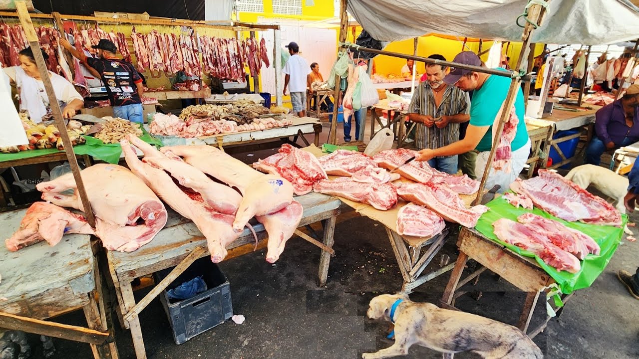 PEIXE DE 5 REAIS SÓ NO NORDESTE. OLHA ISTO BRASIL!