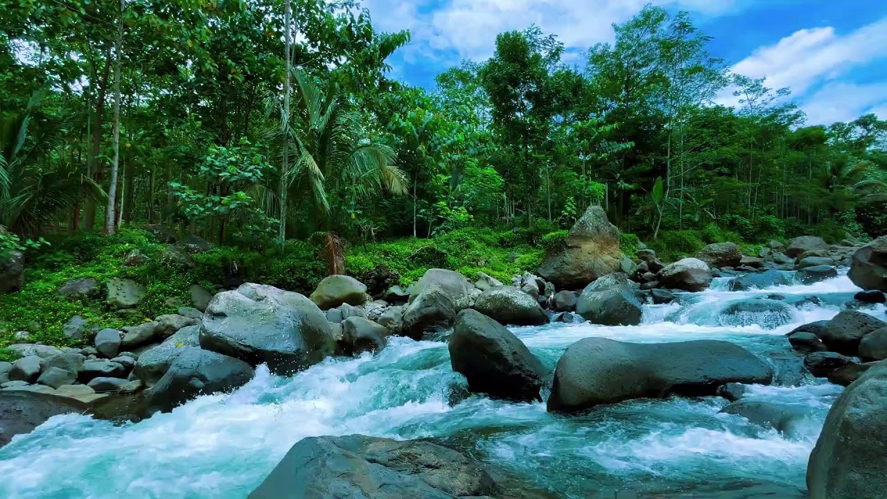 Natural River Sounds for Deep Sleep 🌙 Insomnia Relief Ambience