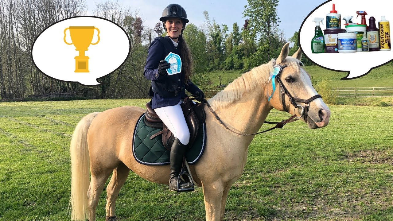 Tivoli choisit sa routine en concours ! 😱 🏆(avec Farnam) I Georgette ou Taxi ?
