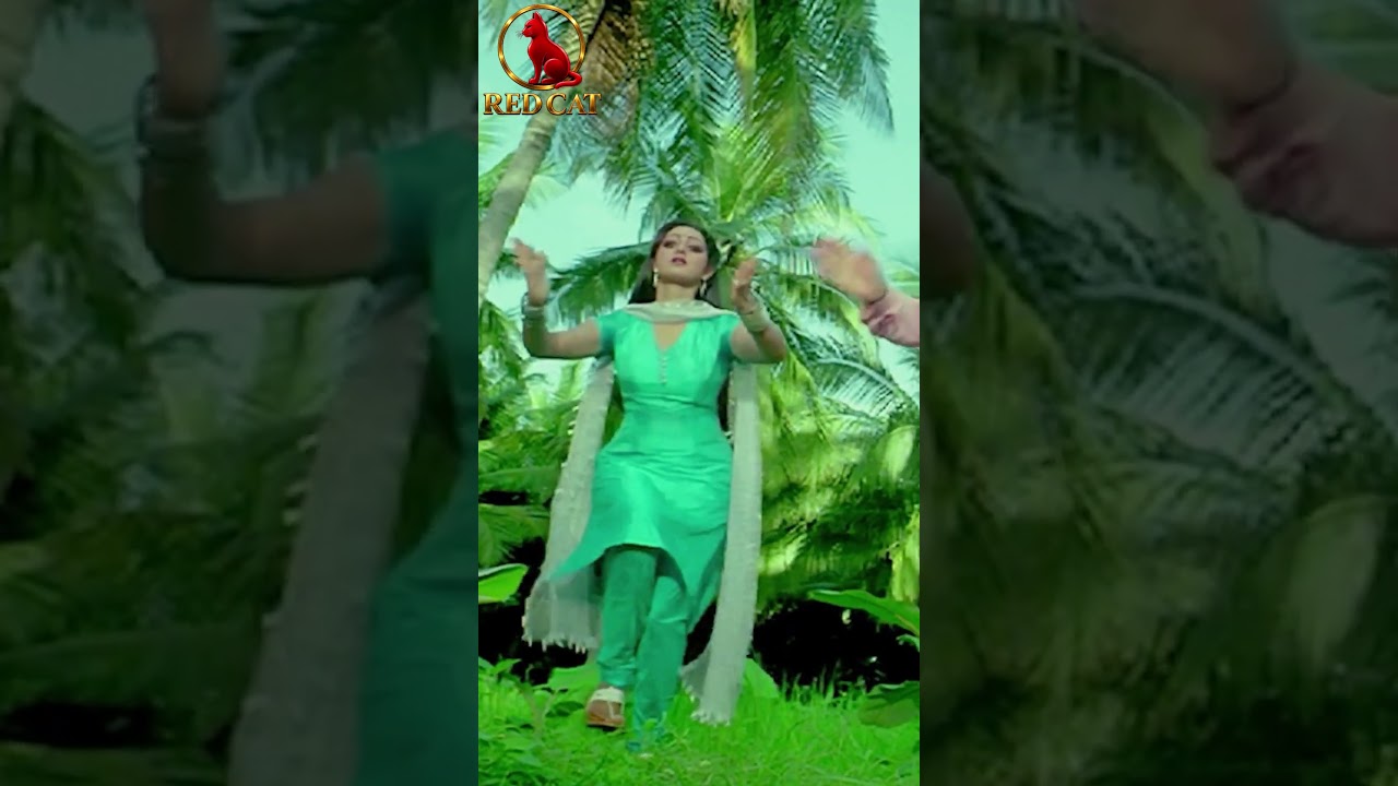 Sridevi superhit song #takiotaki #oldhindisongs #hindisongs #feedshorts #sridevisongs #jeetendra