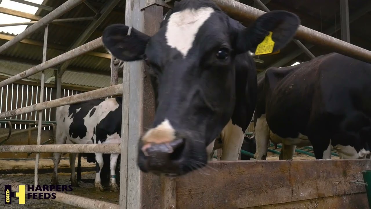 Harpers Feeds bespoke blends and rations