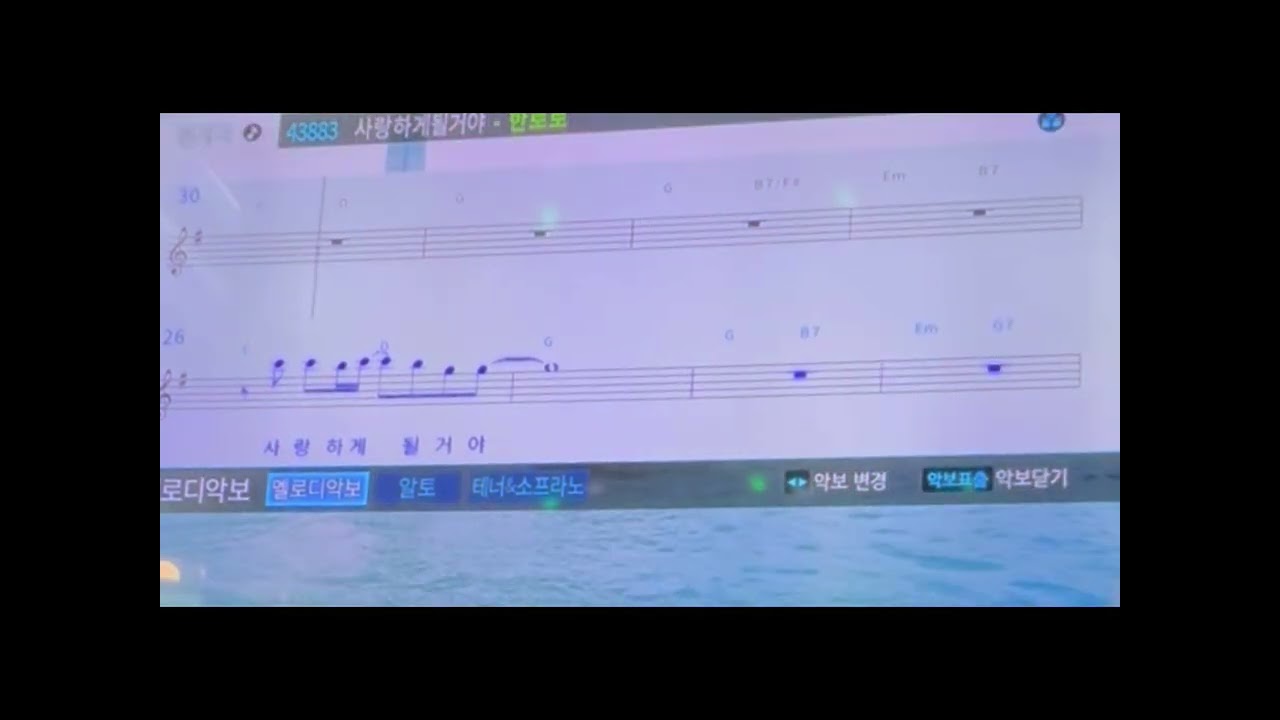 한로로 - 사랑하게 될거야 풀버전 (노래방 cover) by 므녜
