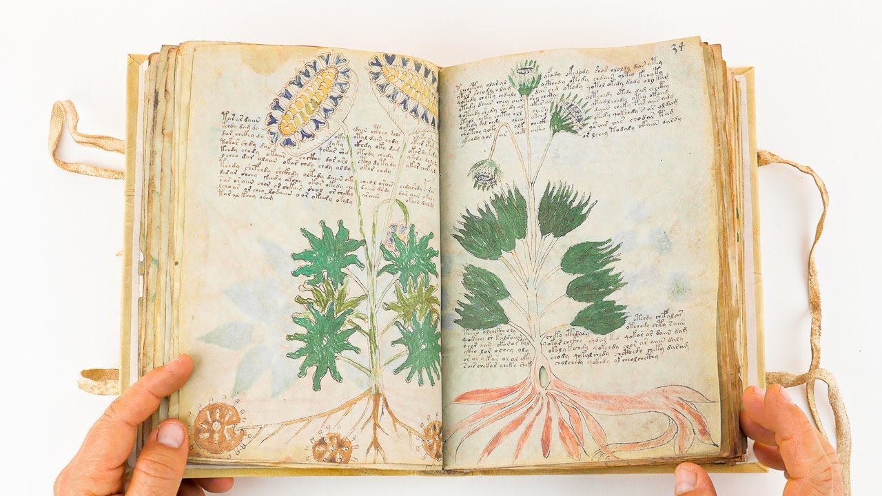 Voynich Manuscript (Full version - ASMR) - Facsimile Editions and Medieval Illuminated Manuscripts