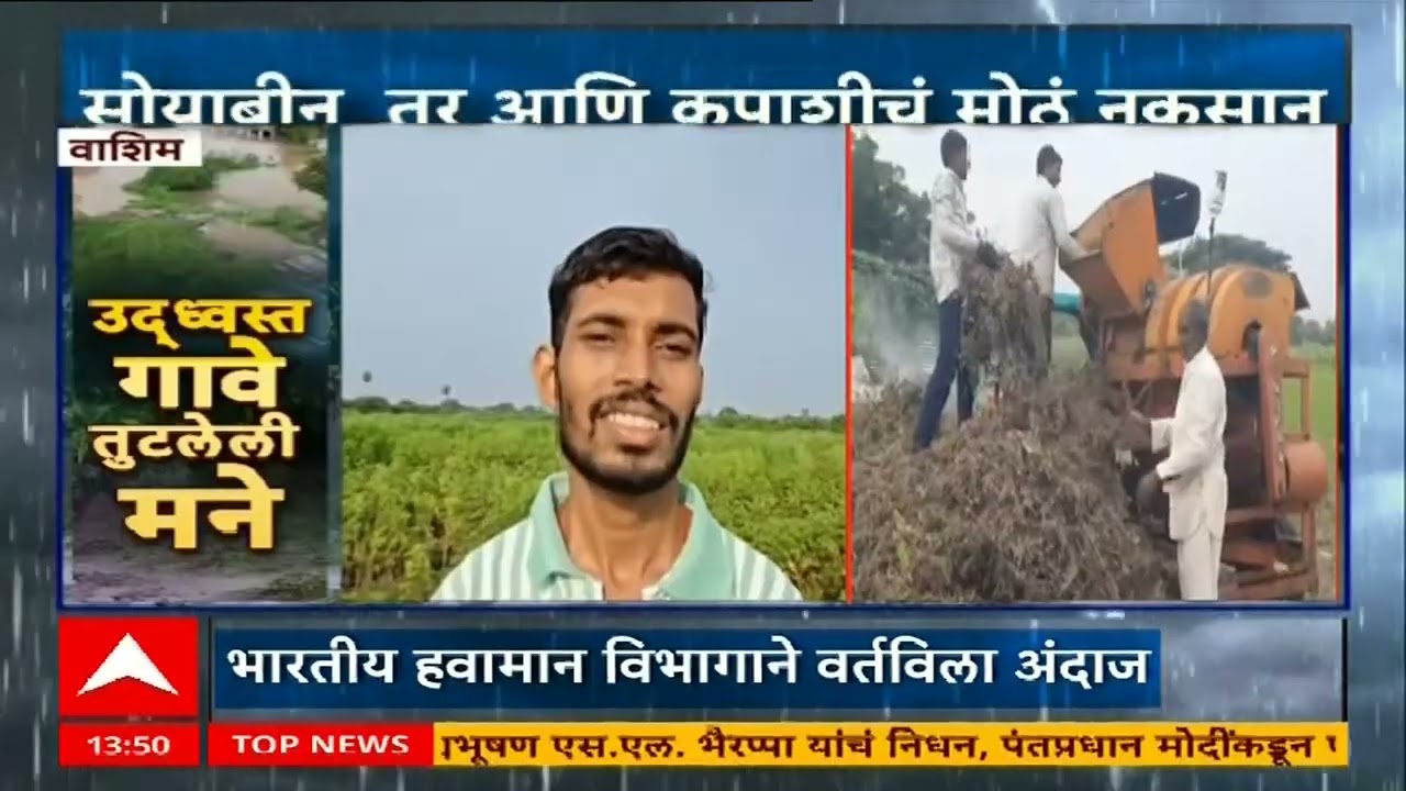 Washim Farmer Loss : वाशिम जिल्ह्यात सोयाबीन, तूर आणि कपाशीचं मोठं नुकसान