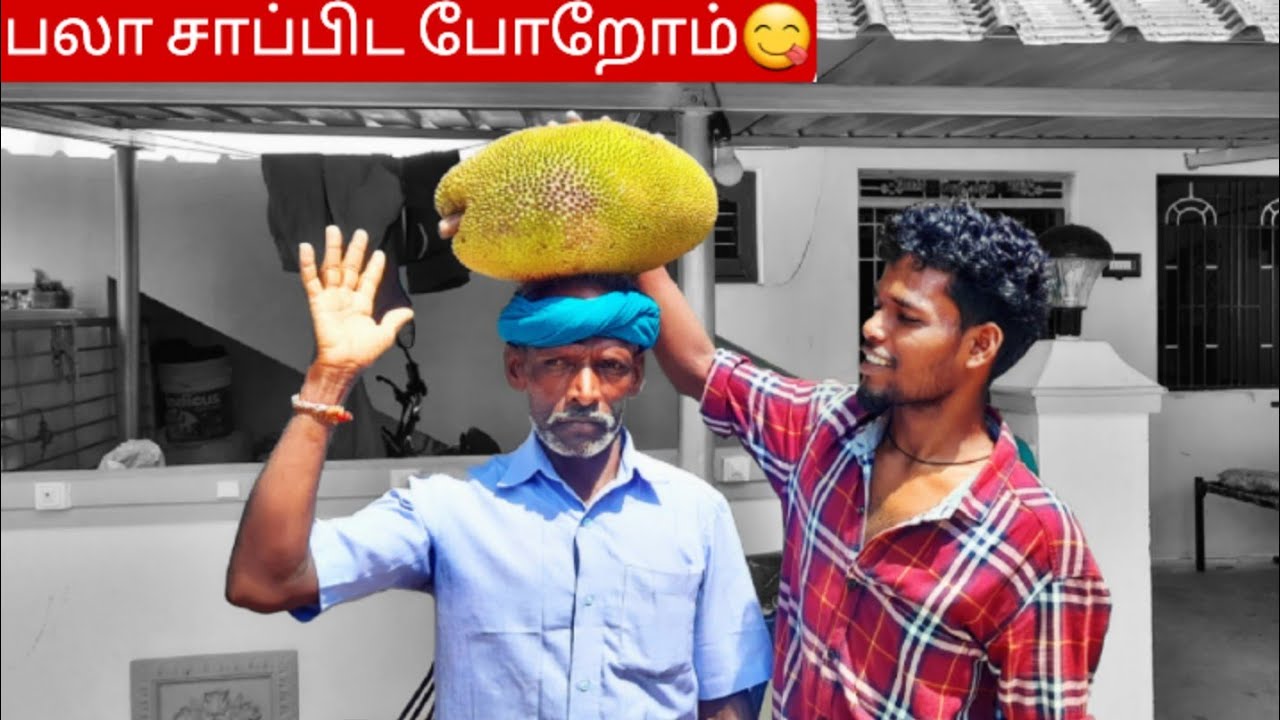 பலாப்பழம்😋 சாப்பிட போறோம்|jackfruit video|Idhu Namma Route.   #tamil#food