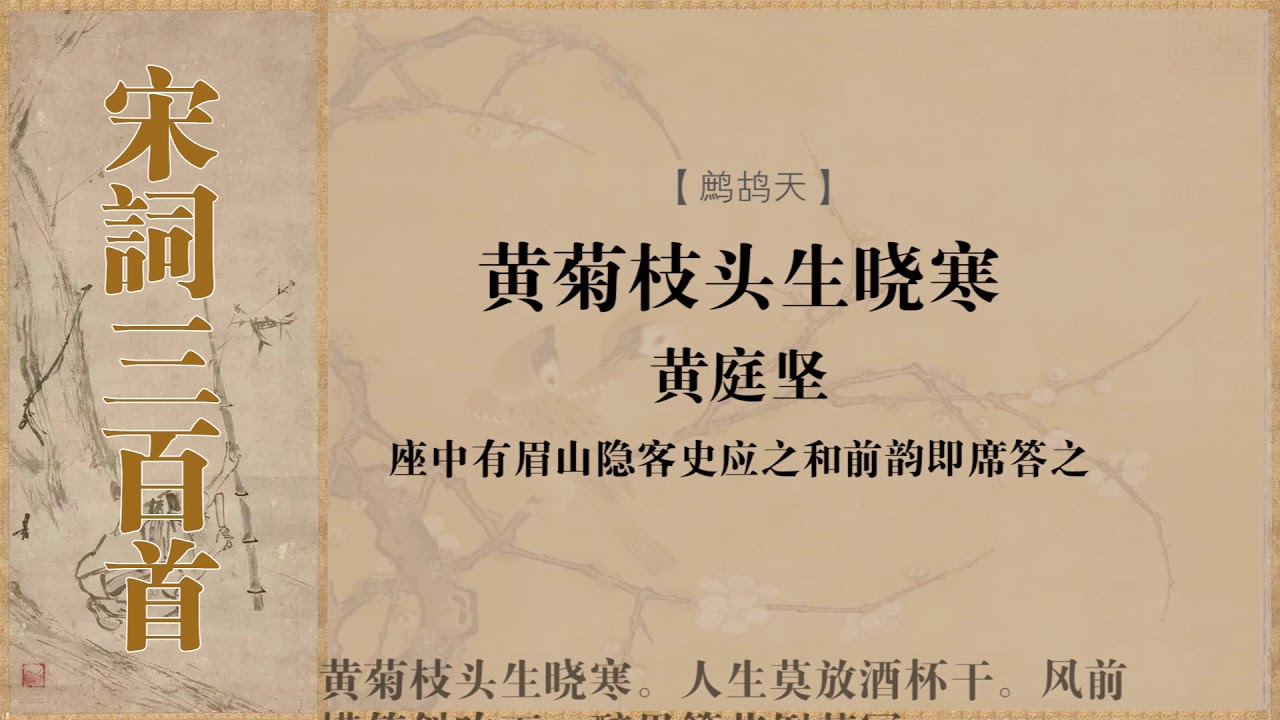 鹧鸪天 黄庭坚 黄菊枝头