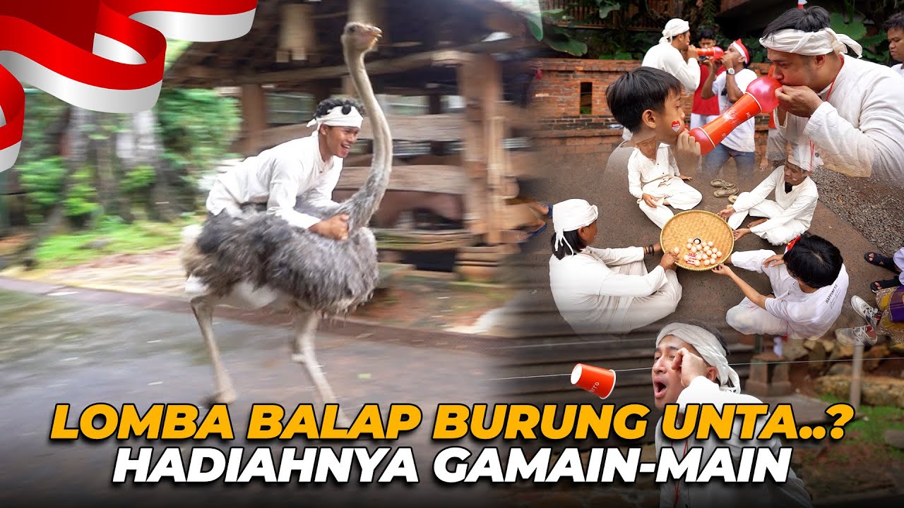 GILAAA..! LOMBA BALAP BURUNG UNTA..?? KARYAWAN GW PADA NGACIRR