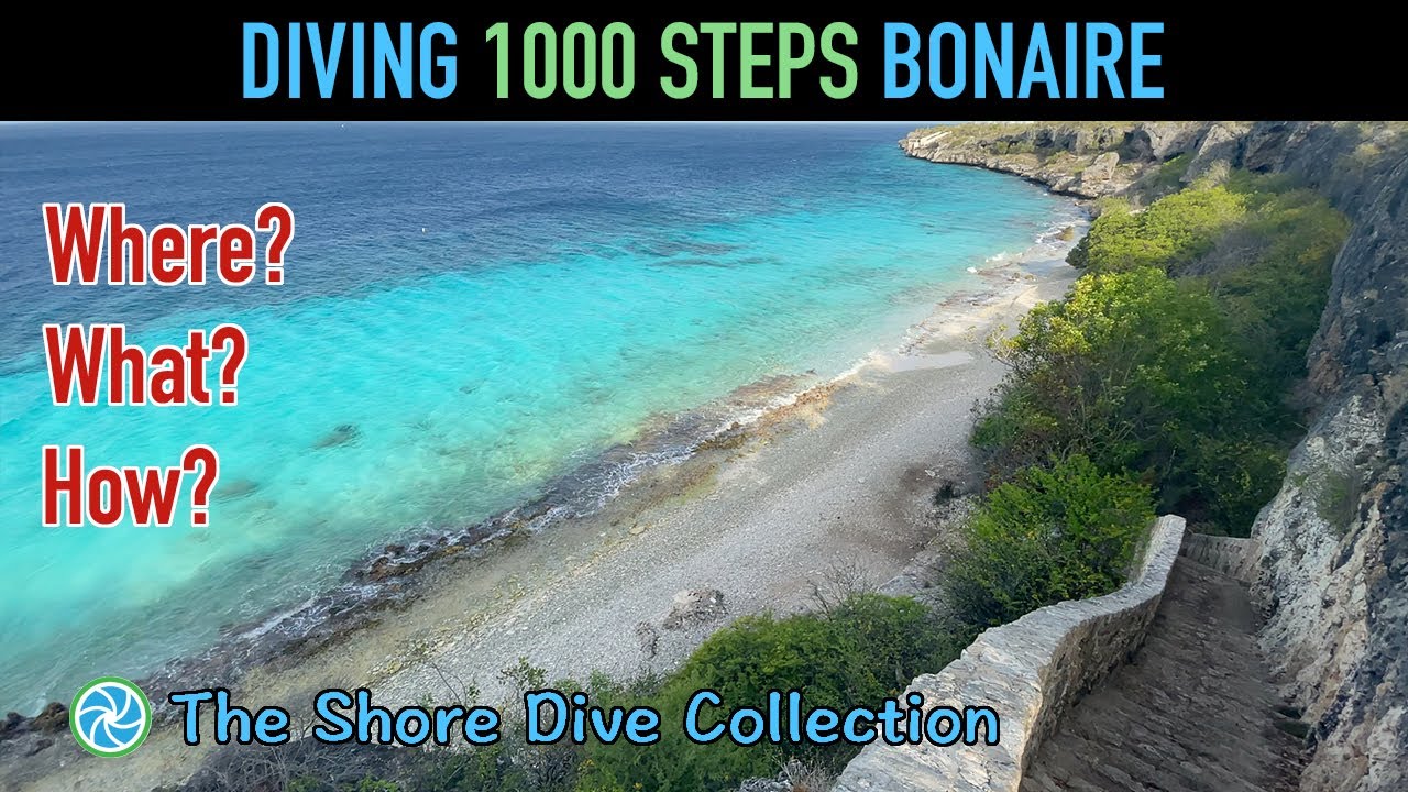 Diving 1000 Steps Bonaire | The Shore Dive Collection | TropicLens - 4K
