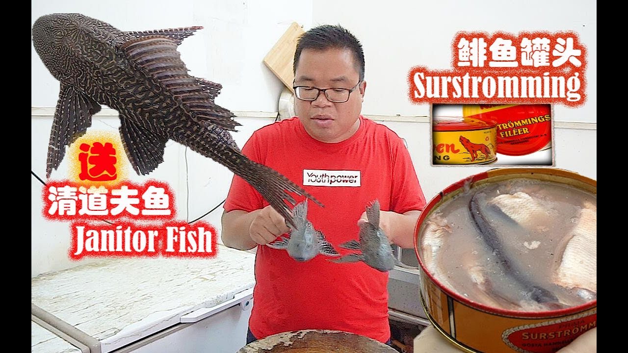 髒臭之王：清道夫魚和瑞典鲱鱼罐頭，肥仔準備同時挑戰