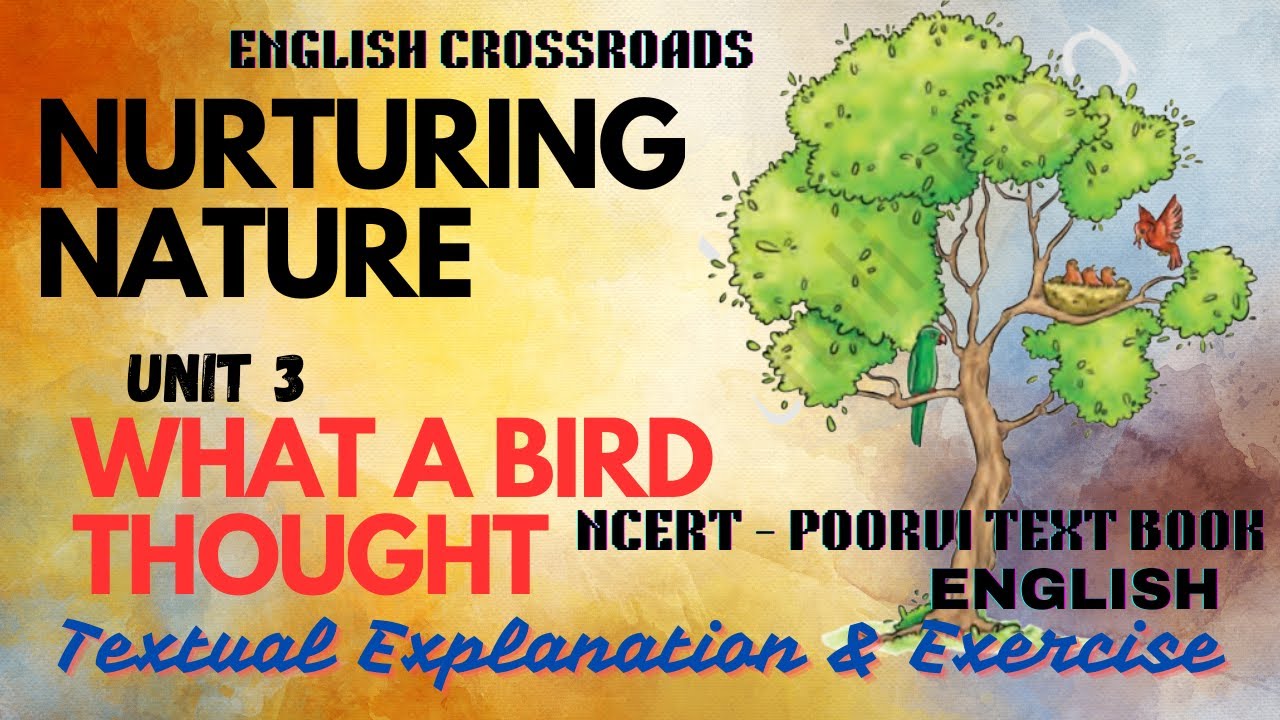 NCERT Class 6 English Poorvi Unit 3 What a Bird Thought Textual Exercise Explanation