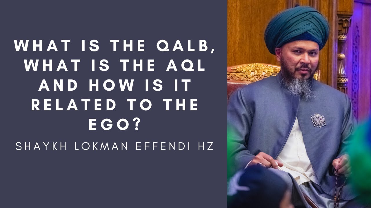 What is the Qalb, what is the Aql and how is it related to the ego?