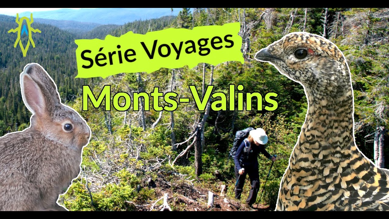 DocBébitte voyage: Les Monts-Valins
