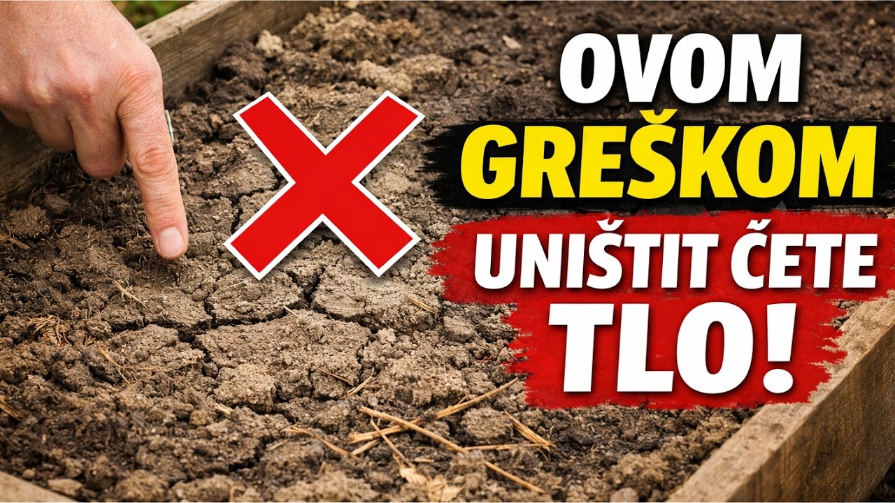 Povišene Gredice: Izbjegnite OVE Greške Koje Vam Uništavaju Tlo Nakon 2 Godine!