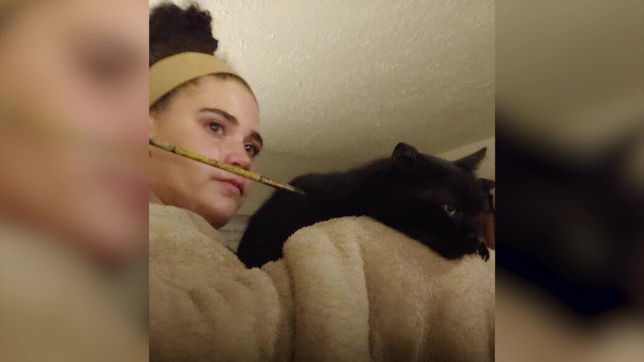 Cat shot by arrow in Hilliard