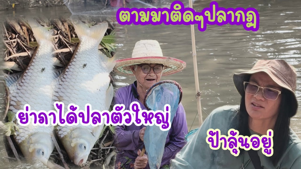 มาถึงสระแล้วย่าพาโชว์ปลาตะเพียนตัวใหญ่มาก