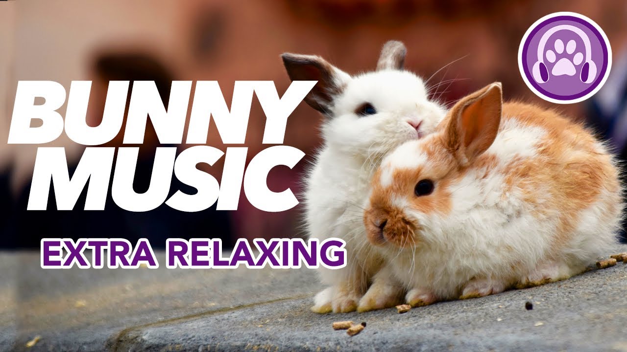 Music for Rabbits - INCREDIBLE RESULTS (11 Hour Lullaby)