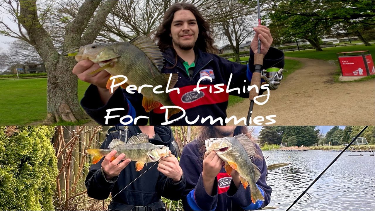 Catching Redfin Perch in New Zealand | Beginners Guide + Epic Fishing Session!