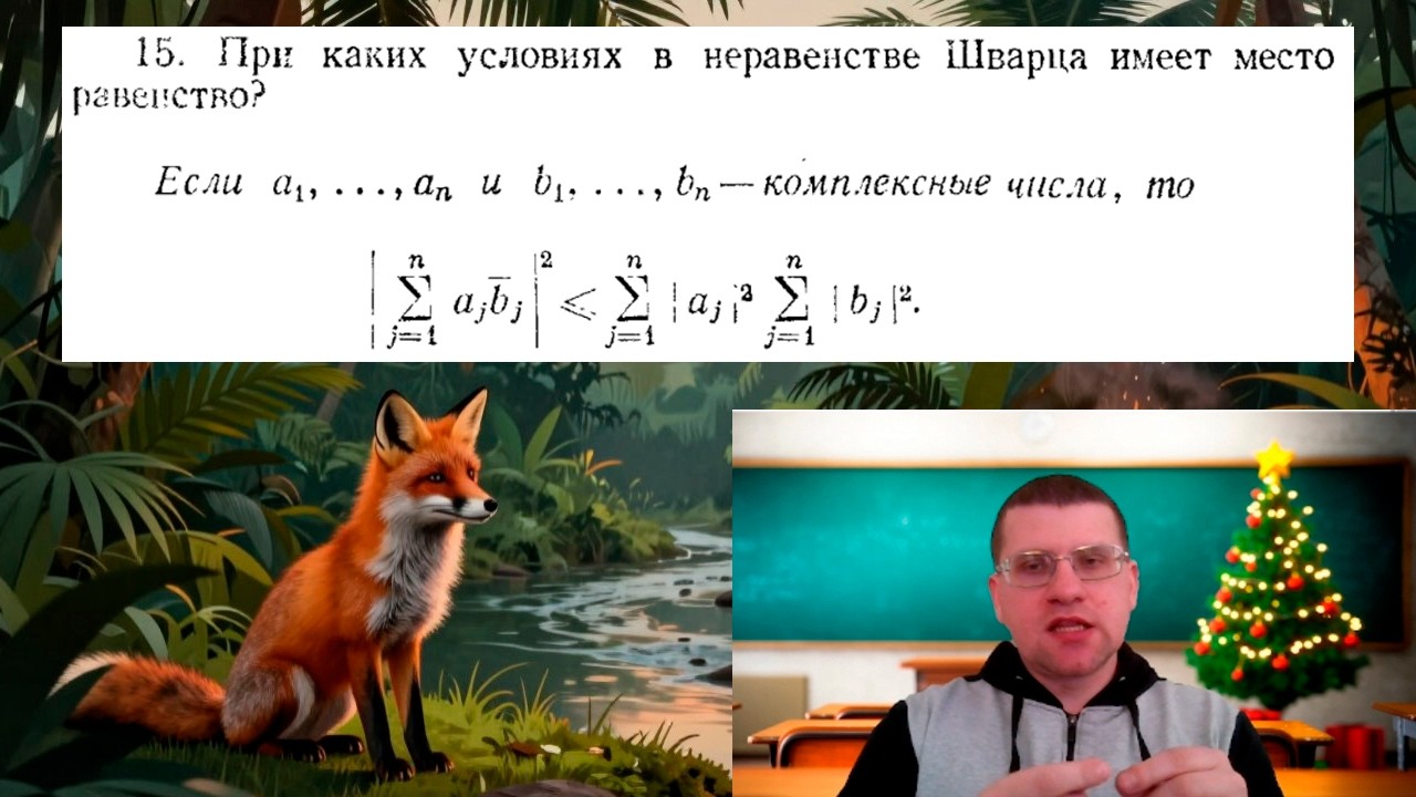 У. Рудин № 15 | Неравенство Шварца