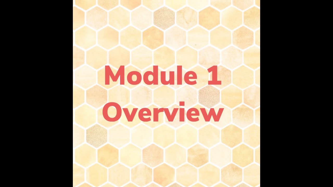 Module 1  Overview
