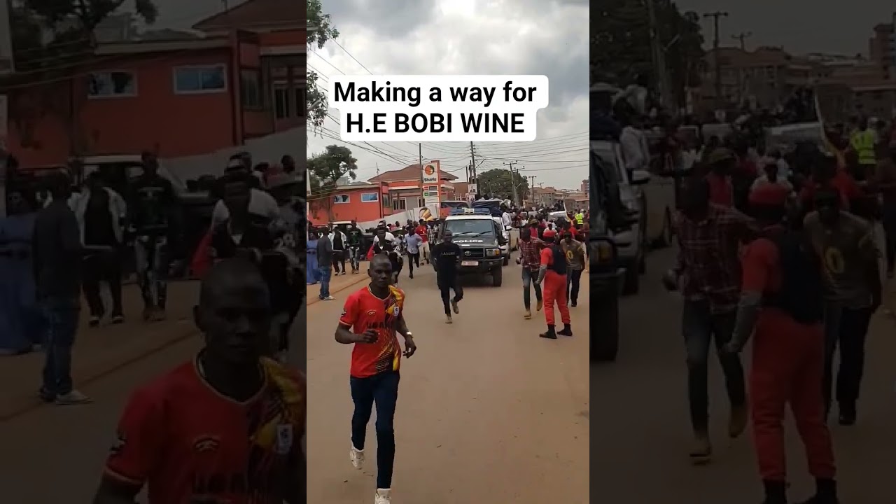 The lion has roared, batidde! #bobiwinetoday #nup #politics #bobiwinetoday #viralvideo