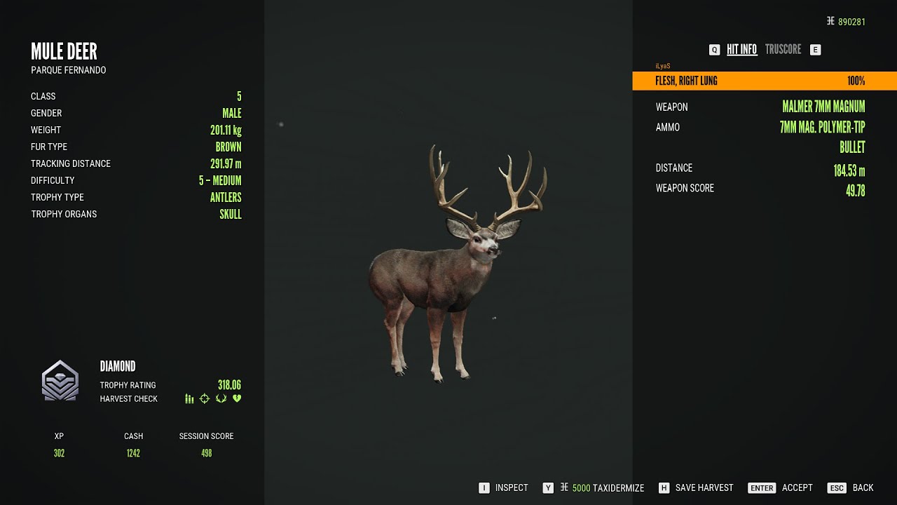 Mule deer   5/Diamond