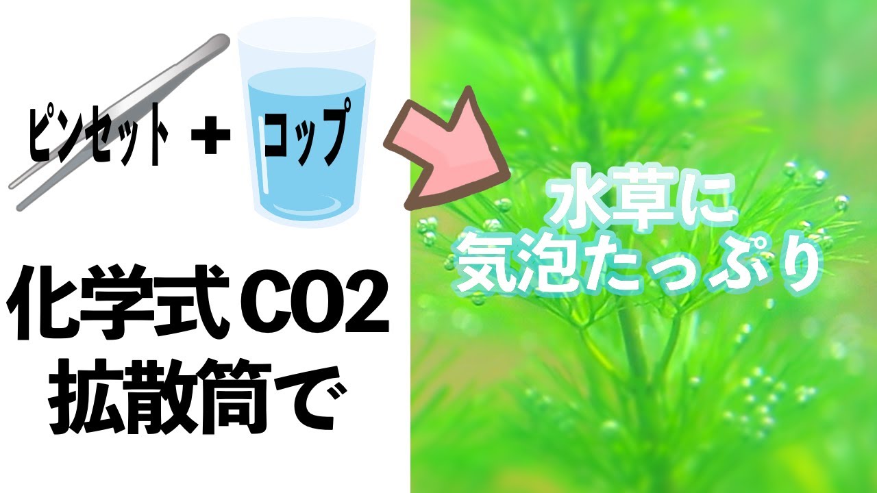 100円コップのCO2 拡散筒で憧れの気泡がたくさん出来ます【アクアリウム】【二酸化炭素】【水草水槽】