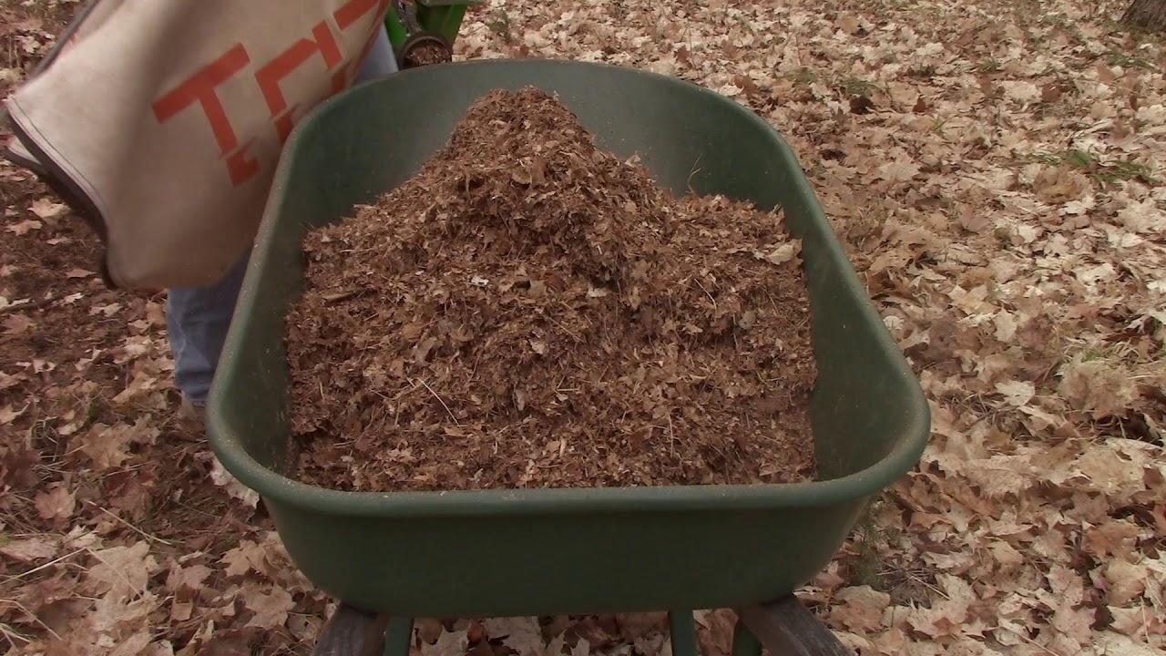 Making leaf mulch with our wood chipper