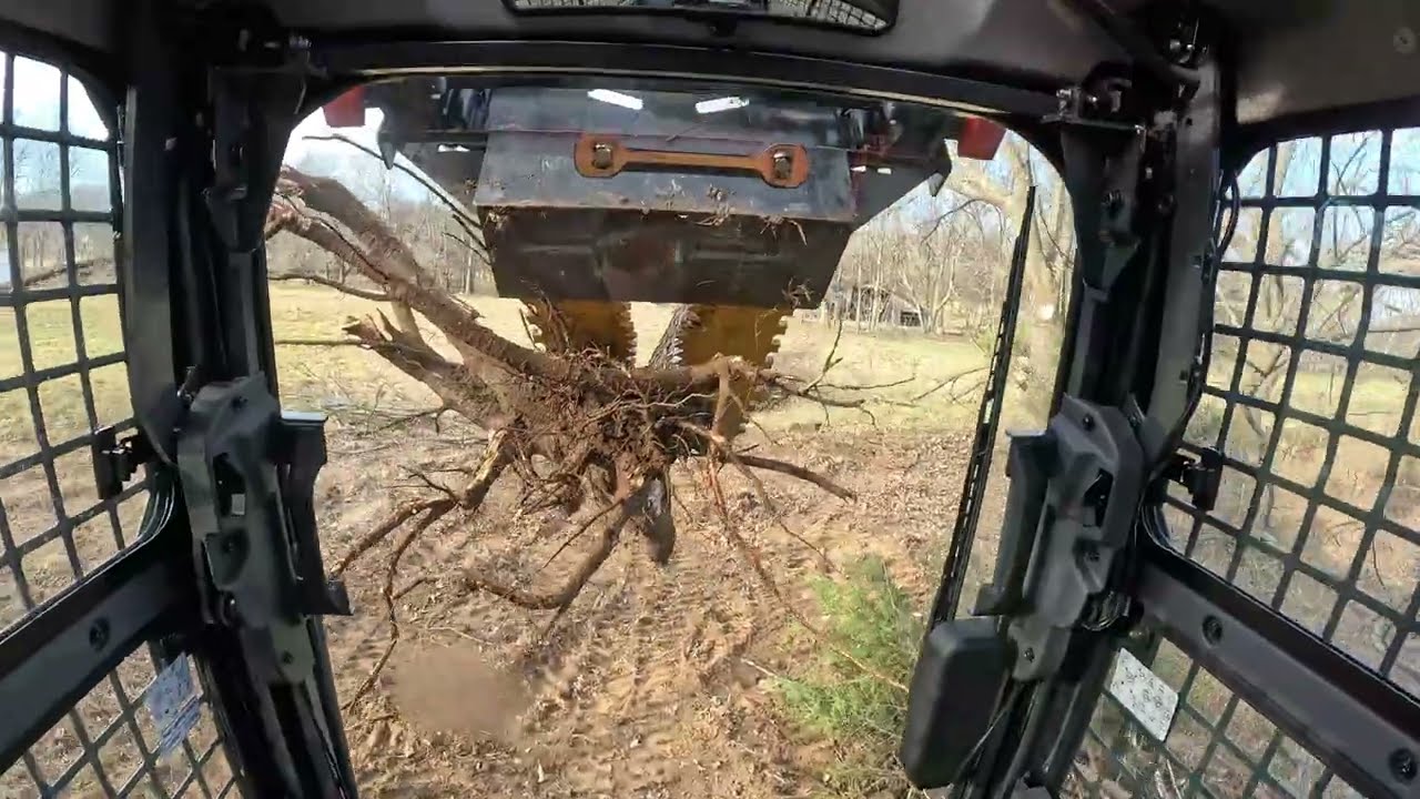 Clearing A Mistreated Pond Bank W/ The Danuser Intimidator & SVL75-3!