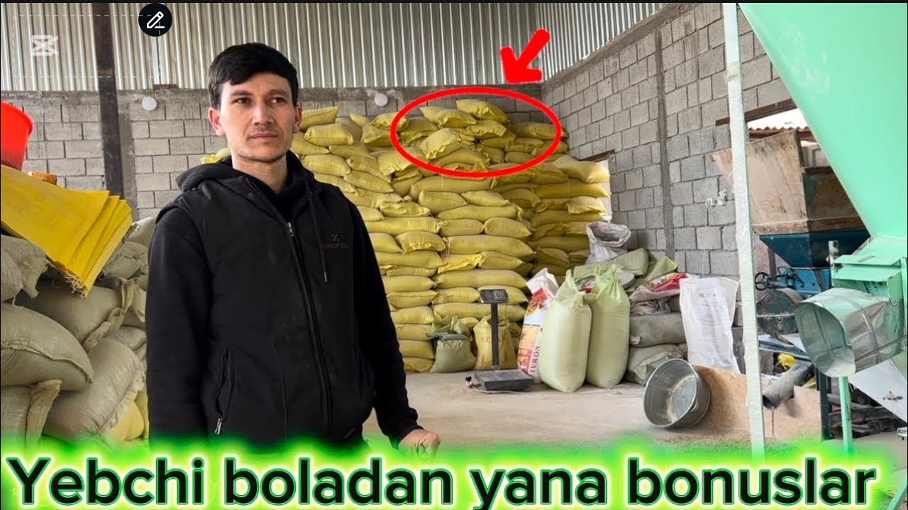 TABIY MAHSULOTDAN 90 KUNDA MOL SEMIRMASA  PULINGIZNI QATIB BERILAR EKAN 100%