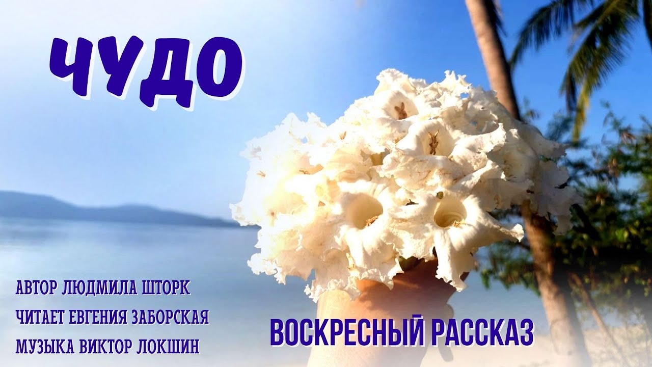 Чудо. Новый христианский рассказ.