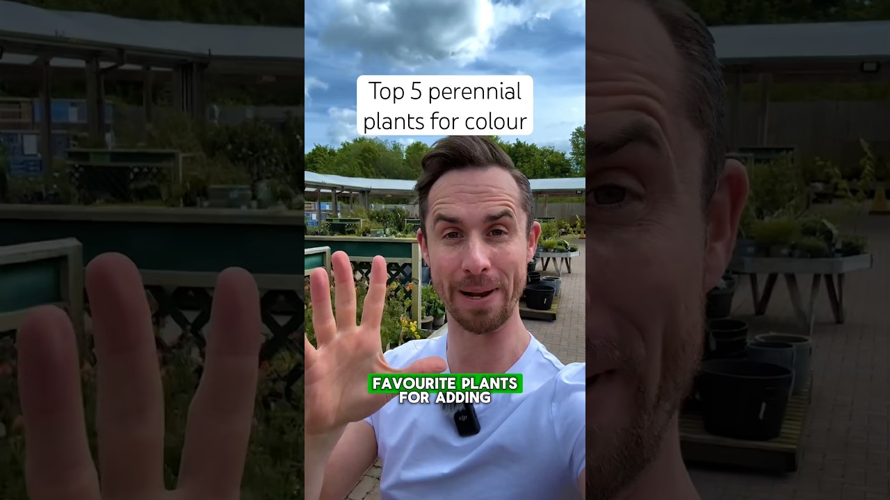Топ-5 многолетних растений для украшения вашего сада #садоводство #садоваязона